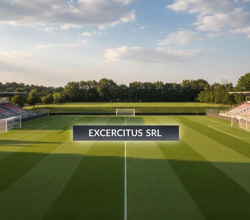 Capiacutetulo 1- Investigacioacuten sobre negocios y seguridad en el fuacutetbol