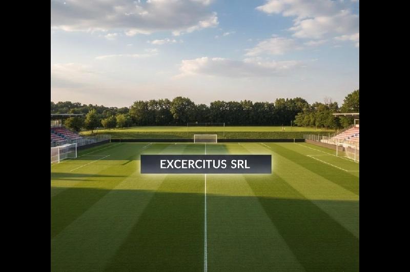 Capiacutetulo 1- Investigacioacuten sobre negocios y seguridad en el fuacutetbol