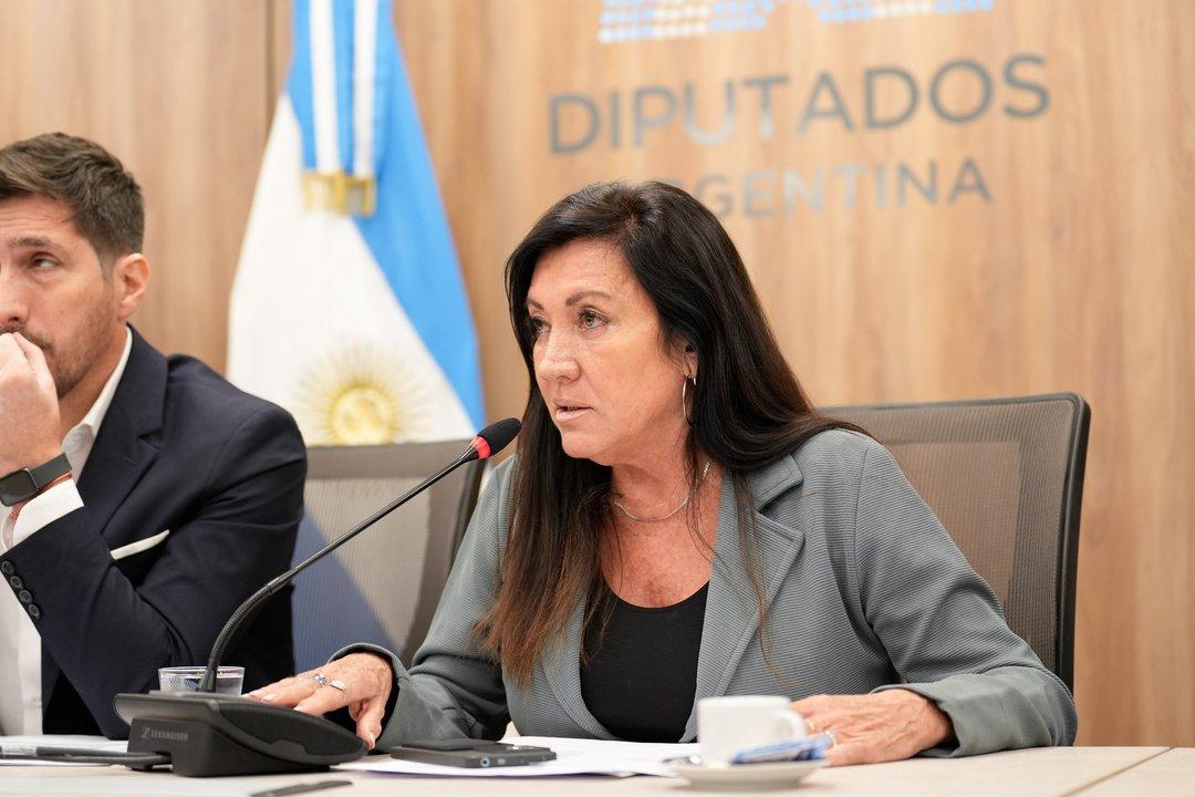 Inocencia Fiscal- el oficialismo busca dictaminar este martes y votar el proyecto el mieacutercoles