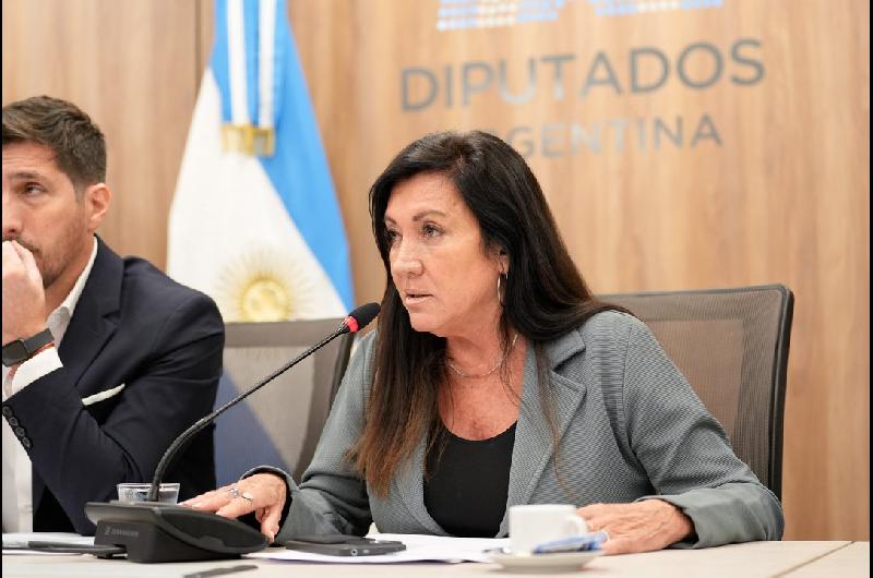 Inocencia Fiscal- el oficialismo busca dictaminar este martes y votar el proyecto el mieacutercoles