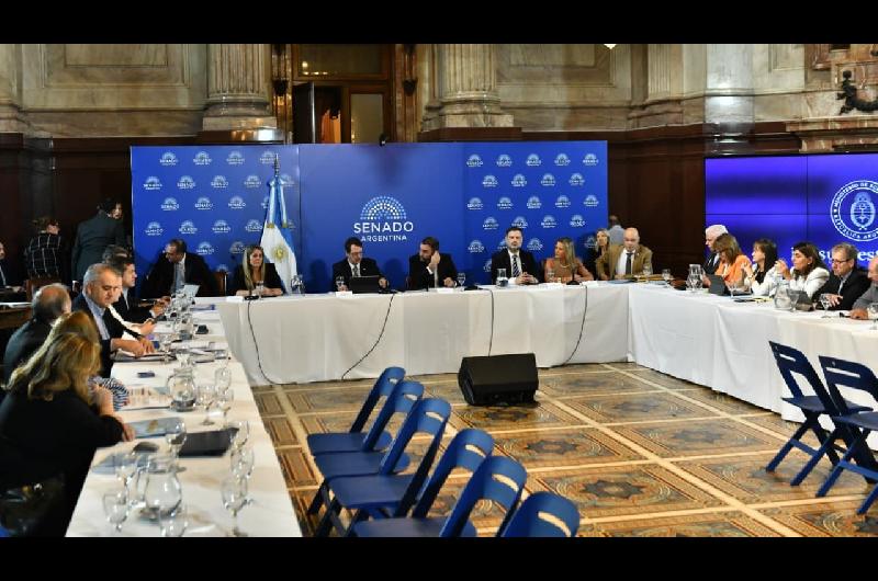 Senado- LLA no incorporoacute al dictamen del Presupuesto el capiacutetulo 11 rechazado por Diputados 