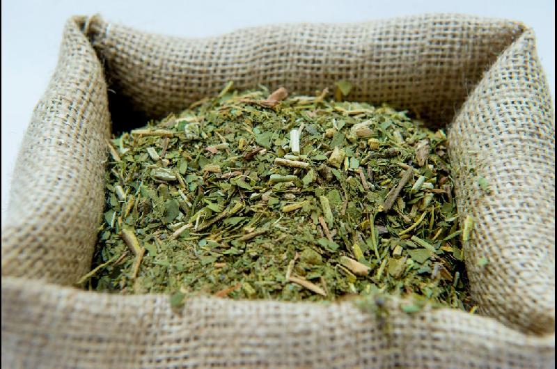 El Instituto Nacional de la Yerba Mate formalizoacute su cambio de funciones