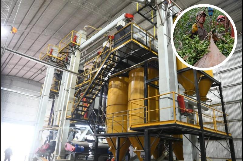 Una conocida marca de yerba mate suspendioacute los pagos a los proveedores