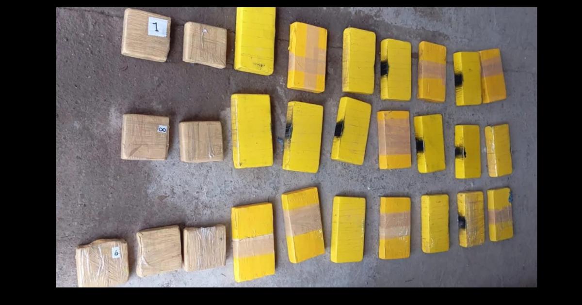 Imputaron a un hombre por el transporte de cocaiacutena valuada en 600 mil doacutelares