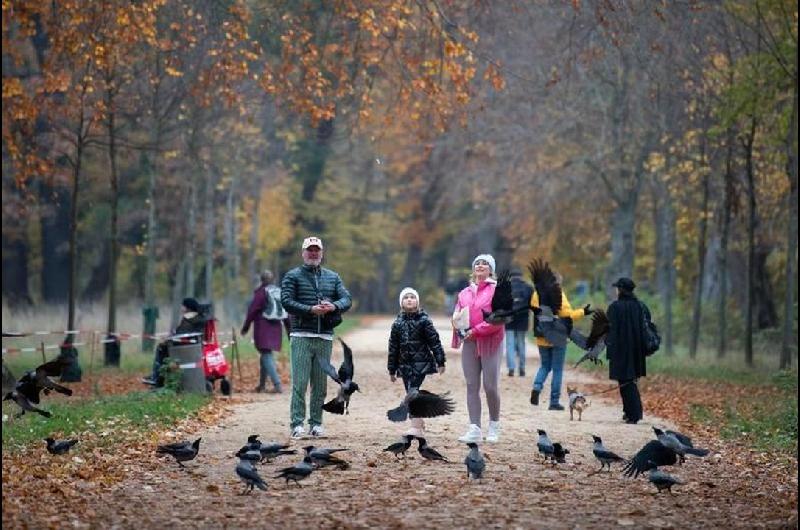 Alemania evaluacutea prohibir el uso de redes sociales a menores de edad