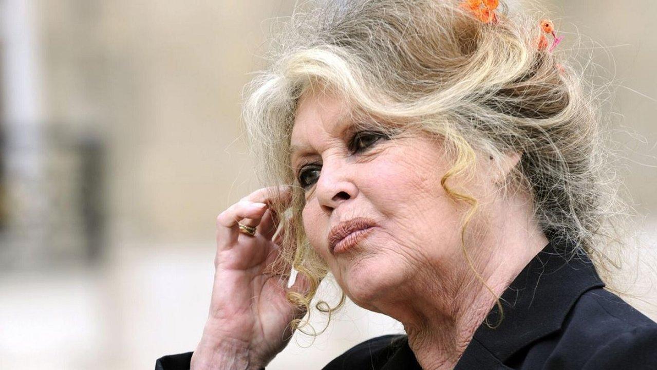 Murioacute Brigitte Bardot- adioacutes a la miacutetica actriz y ferviente defensora de animales
