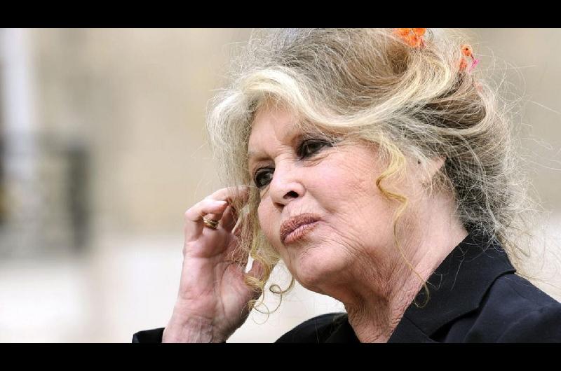 Murioacute Brigitte Bardot- adioacutes a la miacutetica actriz y ferviente defensora de animales