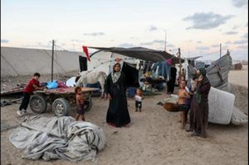 Crisis en Gaza- los nacimientos cayeron un 40-en-porciento- debido a la desnutricioacuten y la destruccioacuten de cliacutenicas de fertilidad