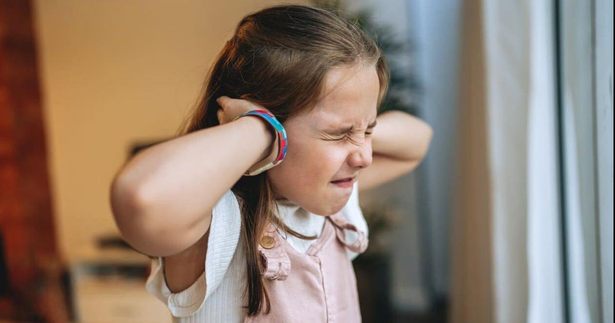 Pirotecnia sonora- efecto que genera en personas con hipersensibilidad auditiva