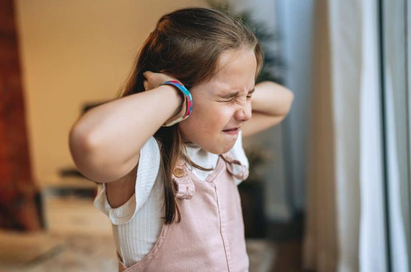 Pirotecnia sonora- efecto que genera en personas con hipersensibilidad auditiva