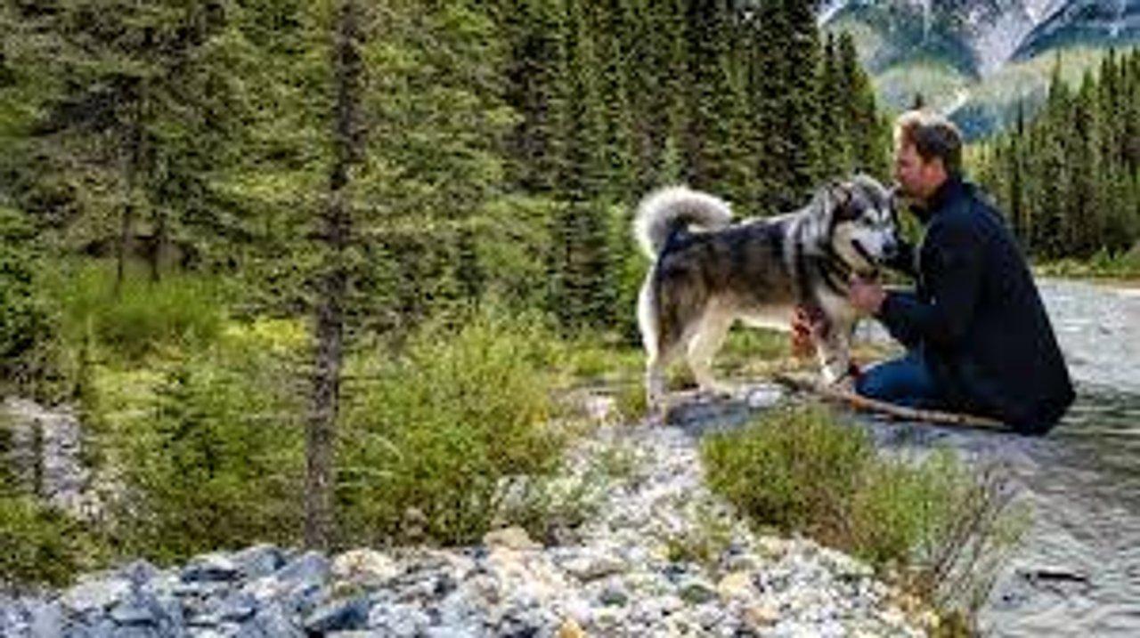 La emotiva peliacutecula que arrasa en Netflix- de queacute trata ldquoSobreviviendo el camino a casardquo