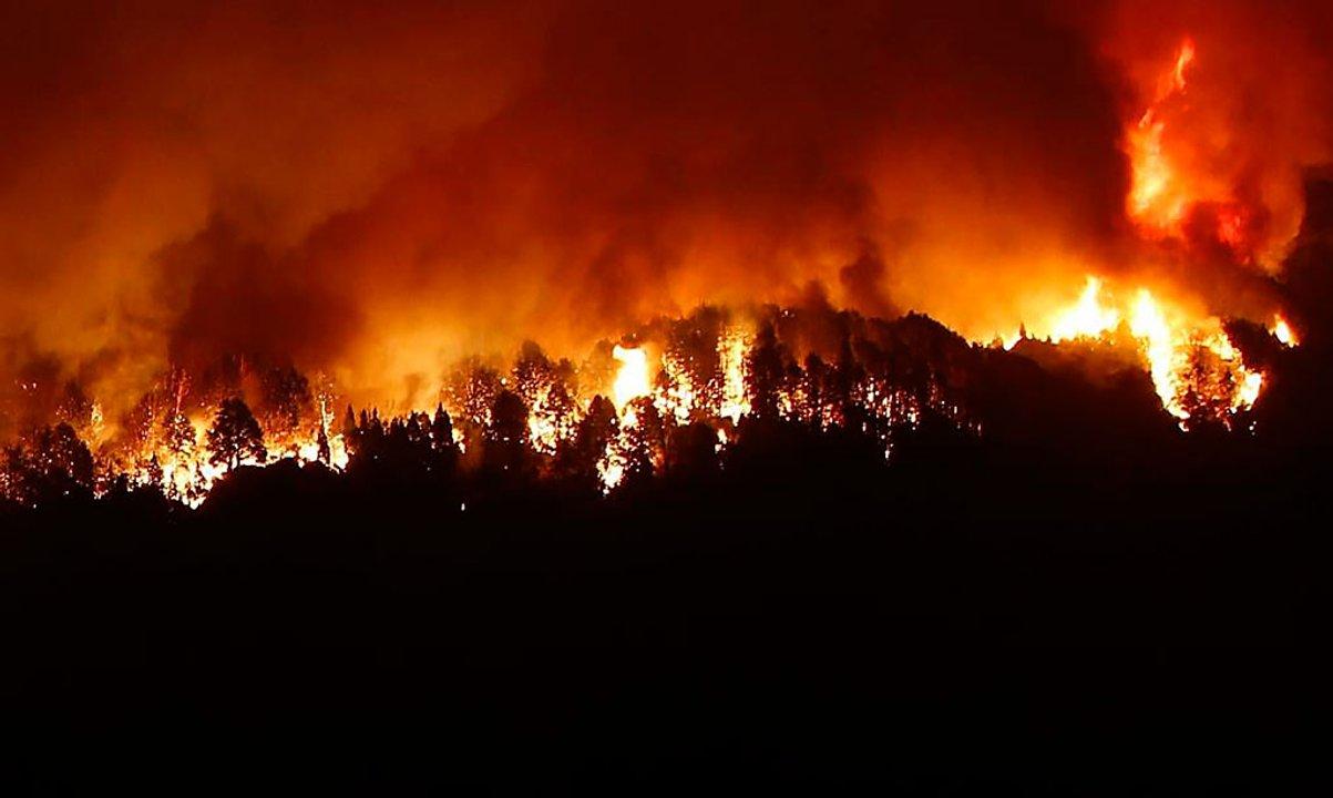 Los incendios forestales ya afectaron maacutes de 2000 hectaacutereas en Uruguay