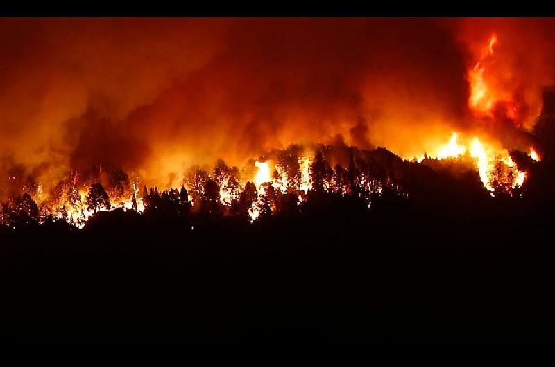 Los incendios forestales ya afectaron maacutes de 2000 hectaacutereas en Uruguay