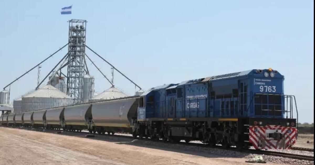 El Belgrano Cargas inicia su privatizacioacuten y redefine la logiacutestica productiva del NOA