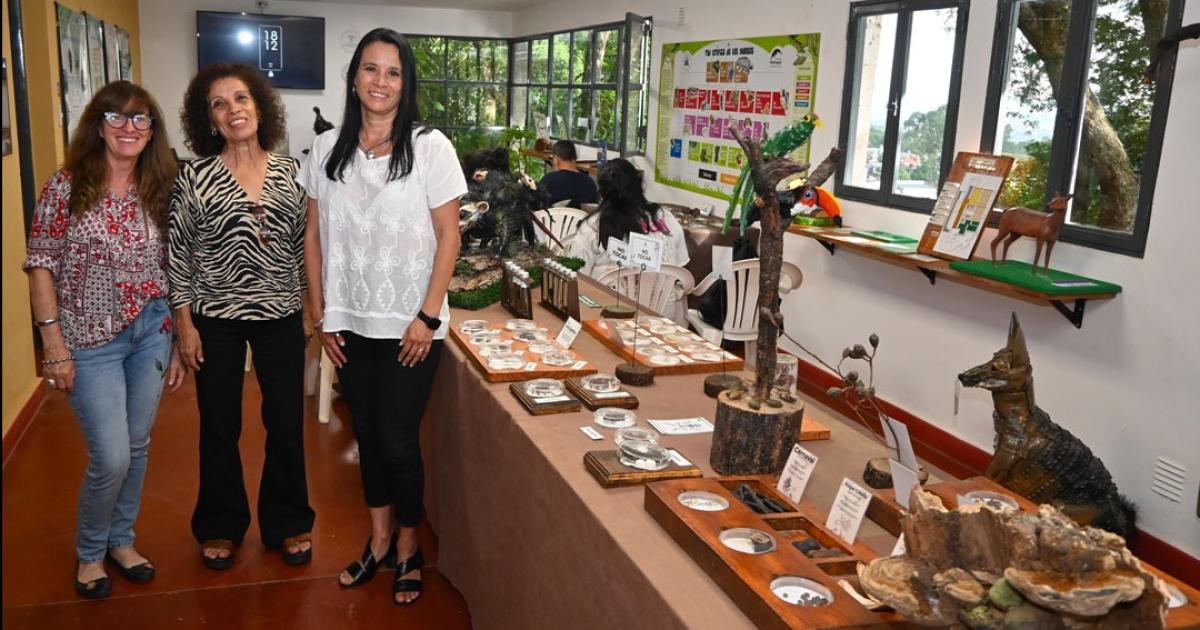 Balance positivo del ciclo Ecos del Parque 