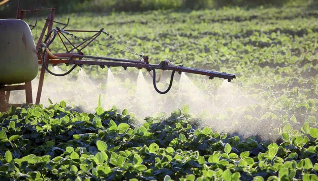 La decisioacuten del gobierno de Francia que afecta a Sudameacuterica