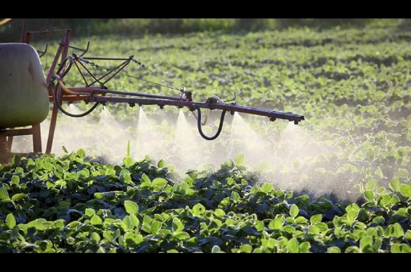 La decisioacuten del gobierno de Francia que afecta a Sudameacuterica