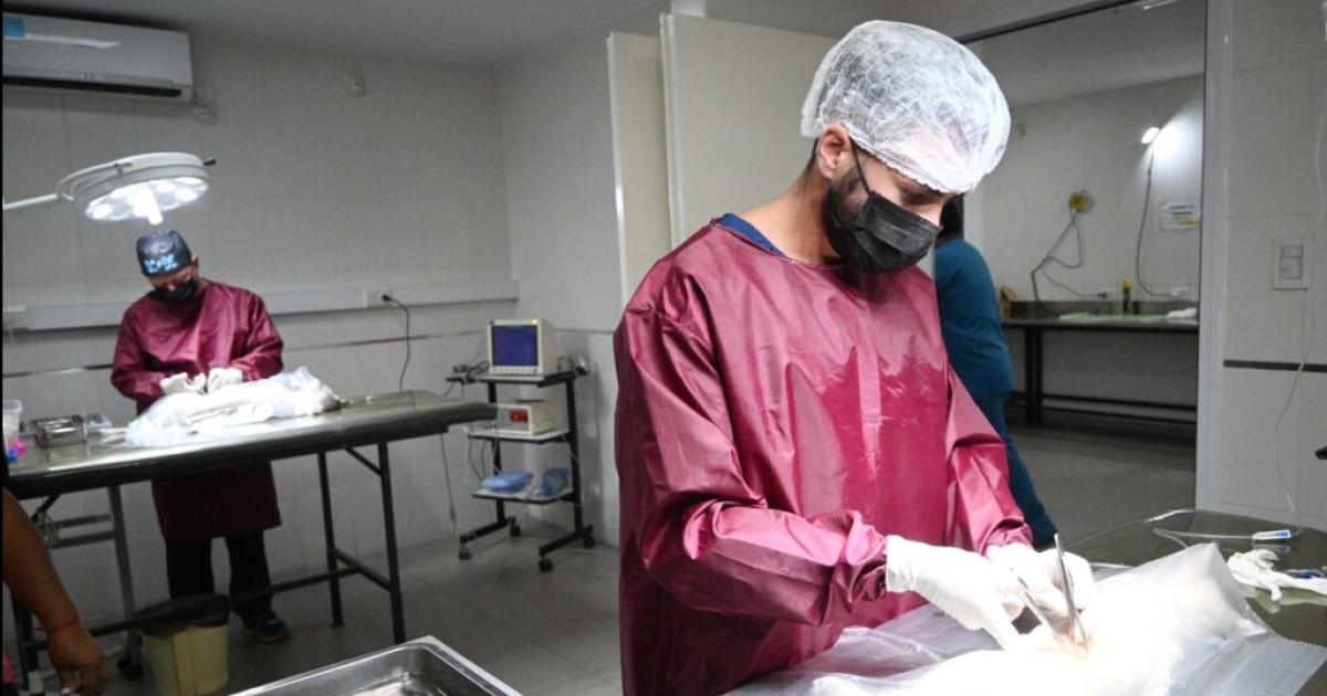 Zoonosis anuncioacute el cronograma de actividades 