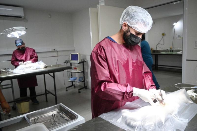 Zoonosis anuncioacute el cronograma de actividades 