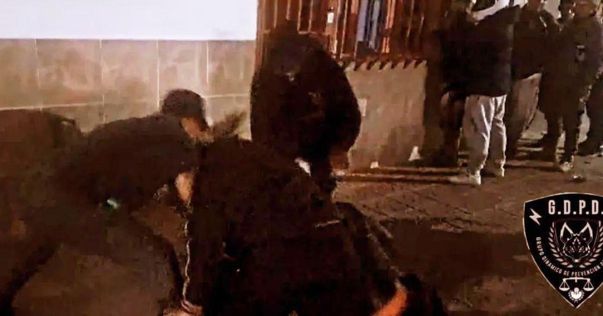 Desarticulan una banda delictiva que merodeaba la zona de San Cayetano