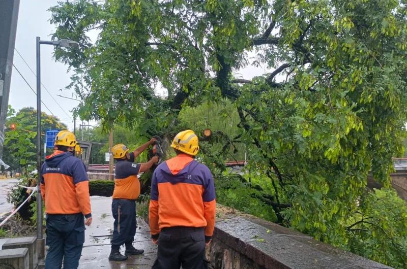 No se registraron evacuados ni viacutectimas fatales tras el fuerte temporal en la provincia