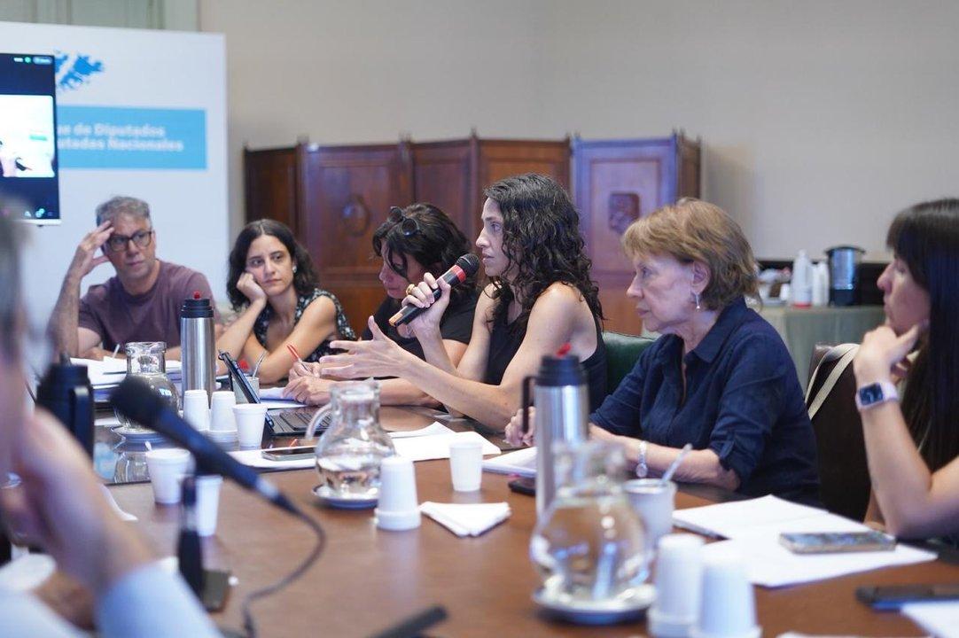 Diputados de Unioacuten por la Patria recibieron a colectivos que representan personas con cardiopatiacuteas congeacutenitas