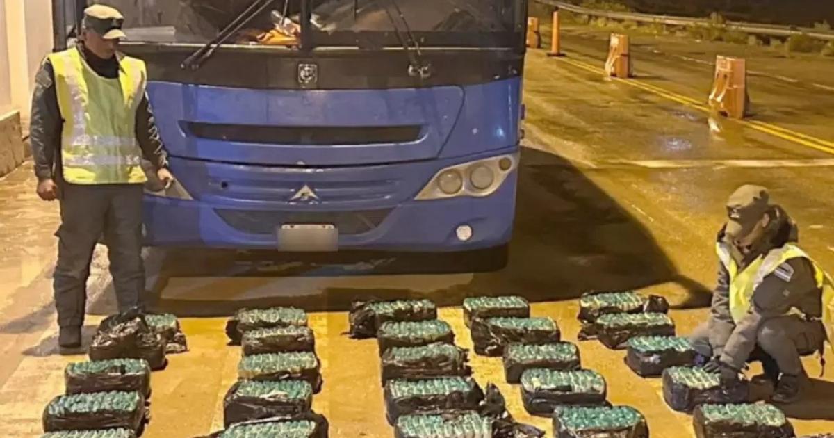 Trasladaban 200 kilos de hojas de coca ocultos en el piso del colectivo
