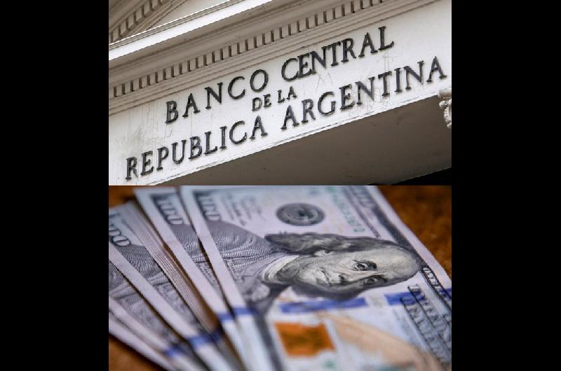 El Banco Central (BCRA) flexibilizoacute el cepo cambiario para empresas