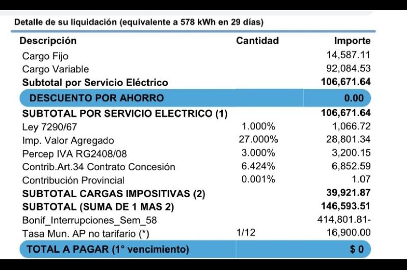 Cortes de luz- un usuario logroacute un reintegro de 400000 en su factura y reveloacute coacutemo hacer el traacutemite ante el ENRE