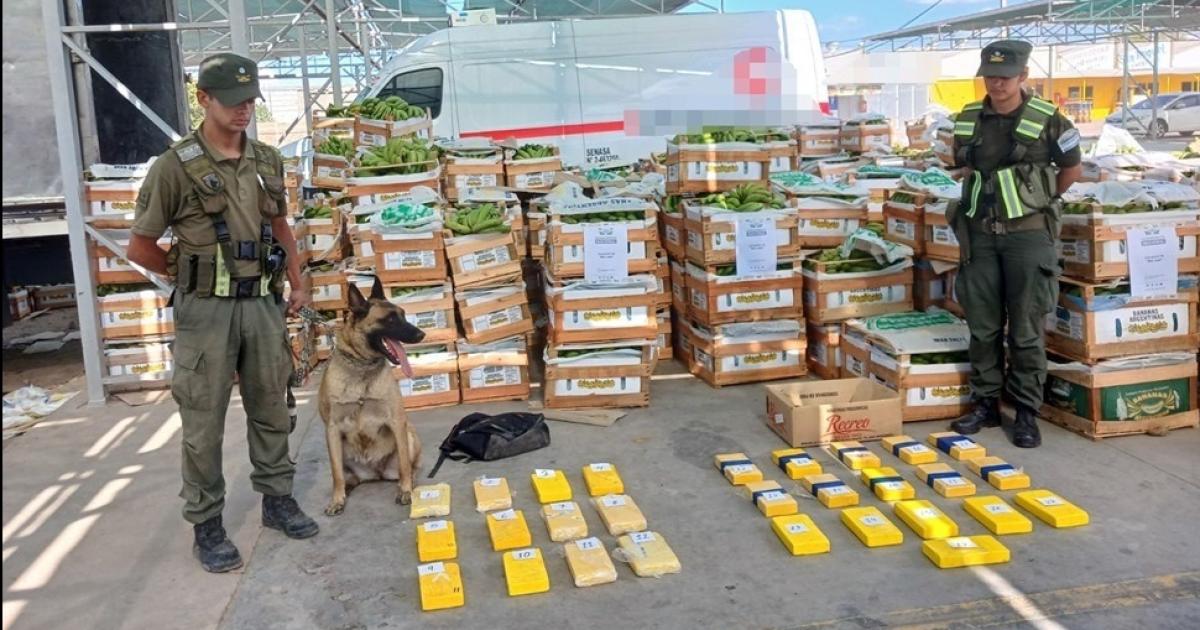 Camionero jujentildeo proacutefugo tras secuestro de 64 kilos de cocaiacutena