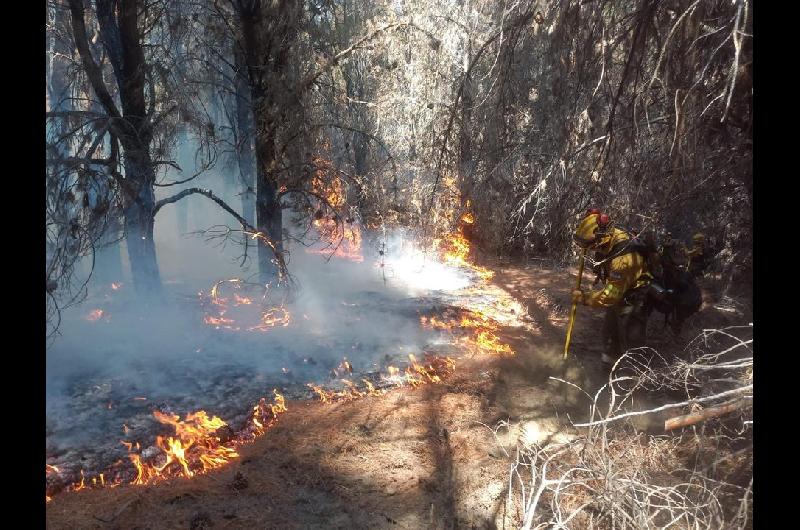 En medio de los incendios el Gobierno gira  120000 millones a los bomberos