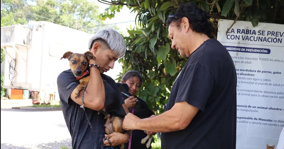 La provincia de Jujuy permanece libre de rabia en humanos y en animales