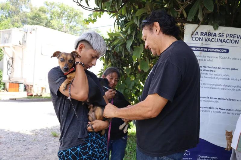 La provincia de Jujuy permanece libre de rabia en humanos y en animales