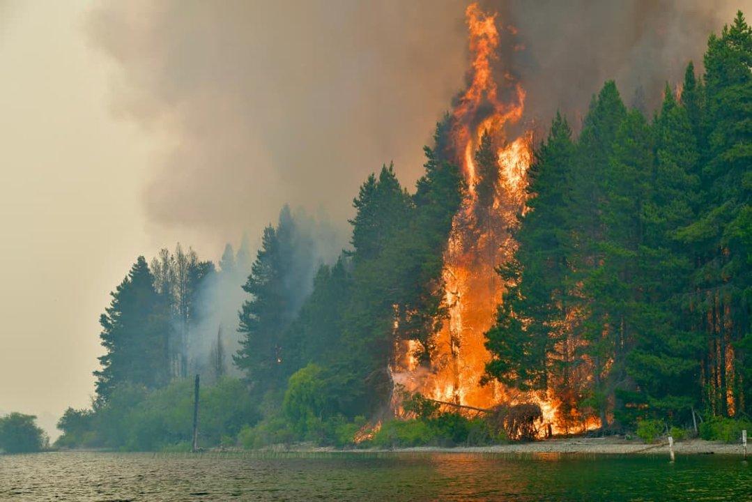 Declaran la emergencia iacutegnea en cuatro provincias por incendios en la Patagonia  