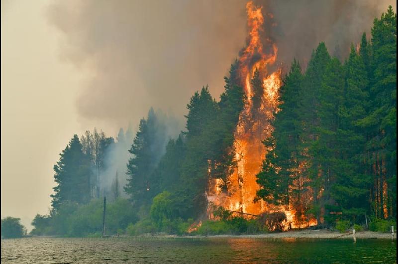 Declaran la emergencia iacutegnea en cuatro provincias por incendios en la Patagonia  