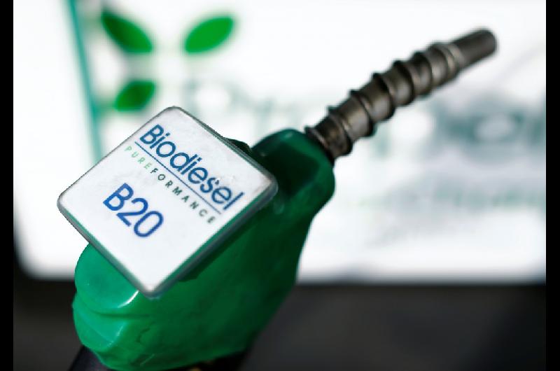 Alertan que Europa cierra las exportaciones de biodieacutesel de soja