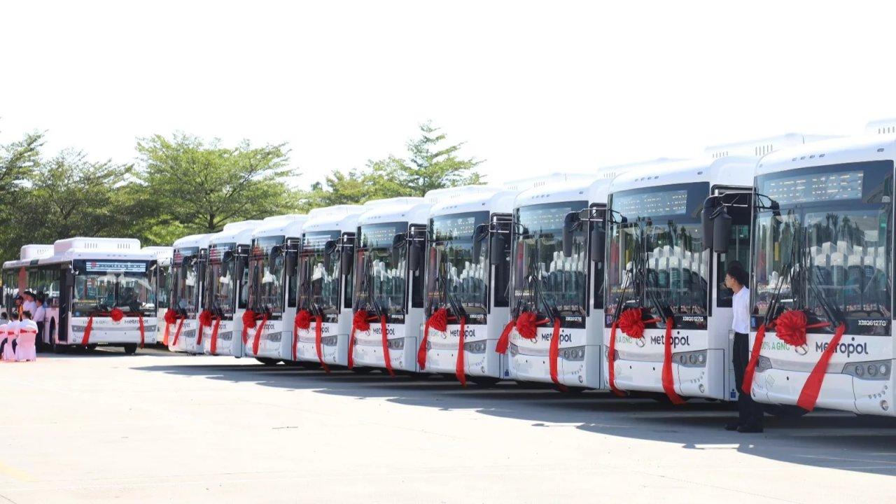 Auditoriacutea a empresas de colectivos- aclaran que alcanza a todas las compantildeiacuteas