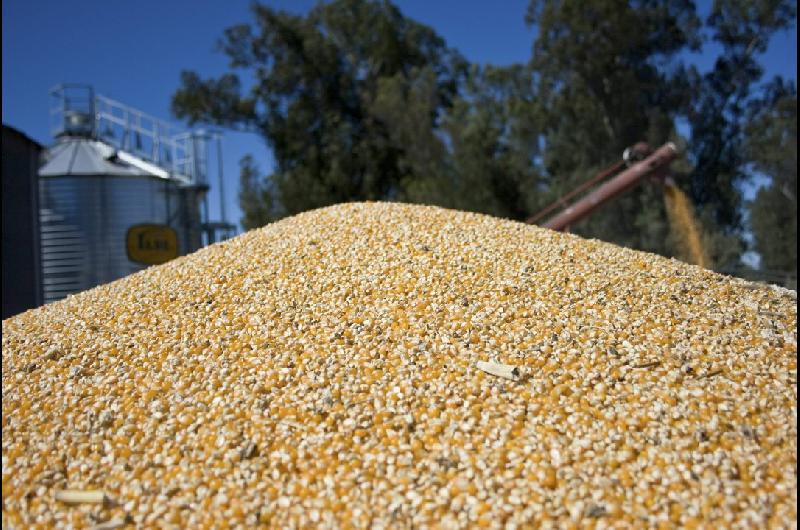 Enero reacutecord para el agro- sube 82-en-porciento- la liquidacioacuten de divisas del complejo oleaginoso-cerealero