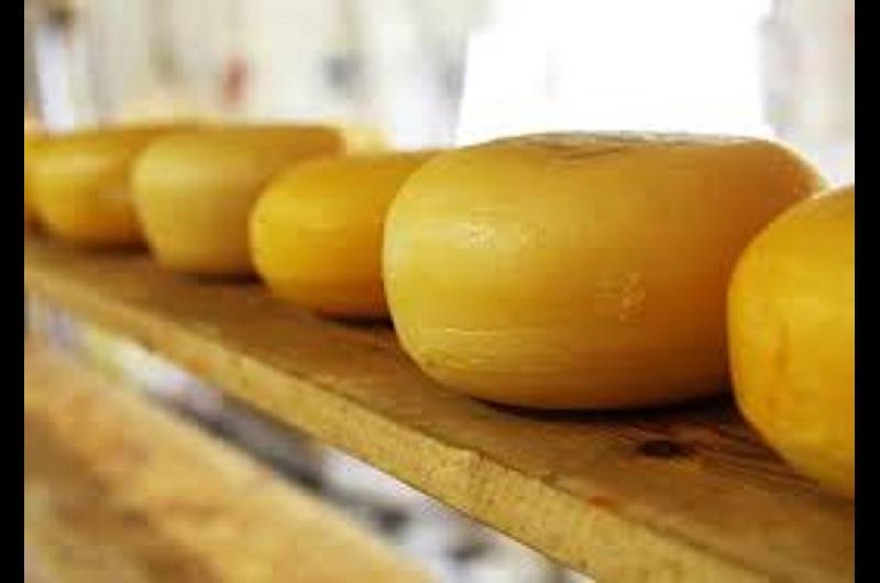 Agricultura lanzoacute el proceso para reconocer al Queso de Tafiacute del Valle como indicacioacuten geograacutefica