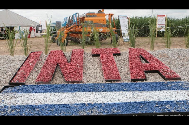 La motosierra de Milei arranca el antildeo por el INTA sigue con las becas del CONICET y va por maacutes
