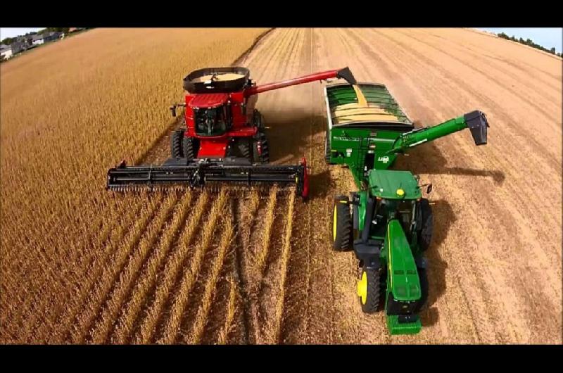 Entre la sequiacutea pampeana y los vaivenes de precios en Chicago la cosecha argentina siembra dudas  