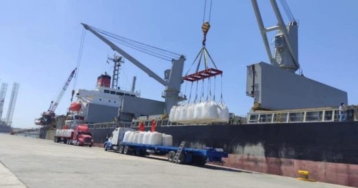 Azuacutecar- salto exportador del NOA en la campantildea 25 - 26