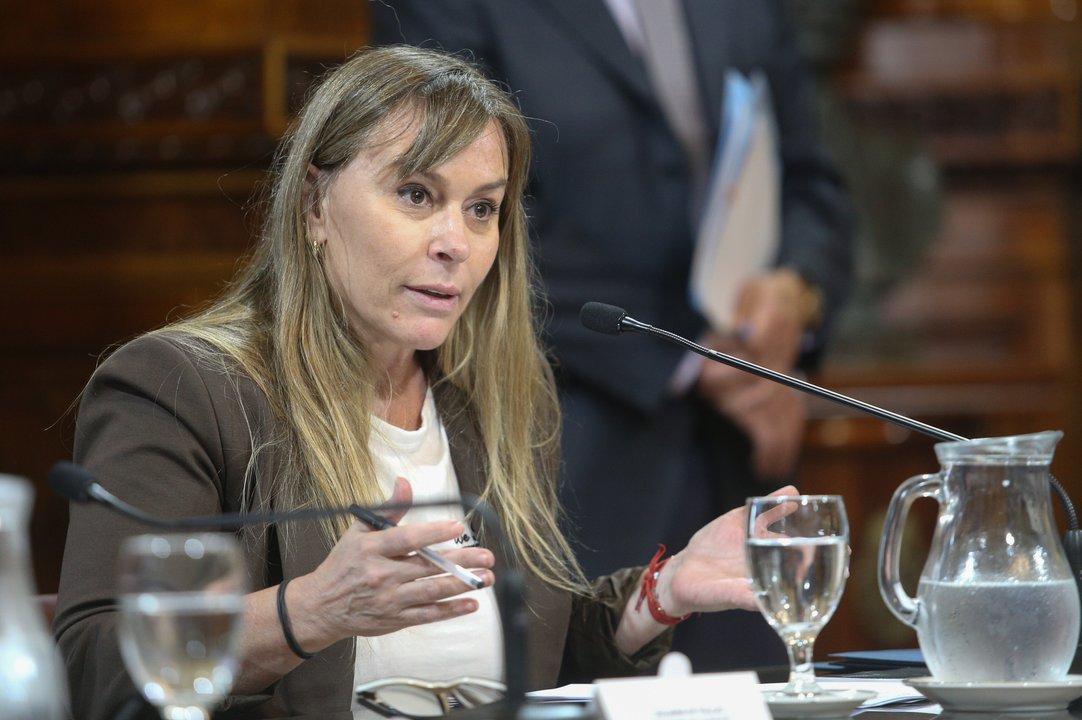 Sigue el cruce entre Quirno y Di Tullio- el canciller mandoacute a la senadora a ldquoleerrdquo