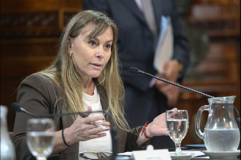 Sigue el cruce entre Quirno y Di Tullio- el canciller mandoacute a la senadora a ldquoleerrdquo