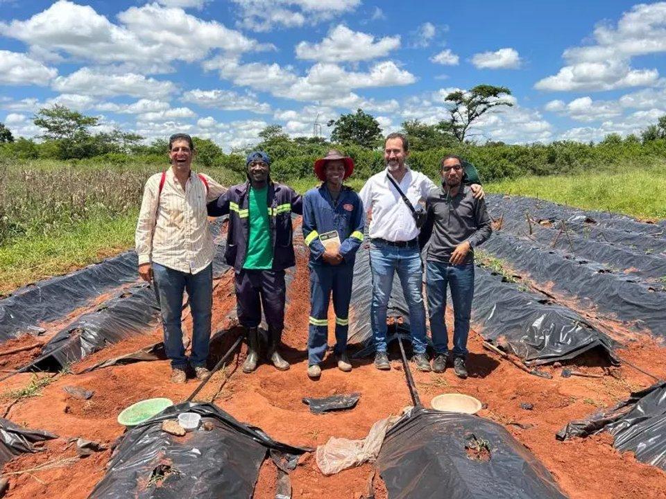 Argentinos aportan tecnologiacutea al cultivo de tomate en Mozambique