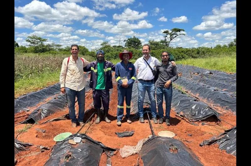 Argentinos aportan tecnologiacutea al cultivo de tomate en Mozambique