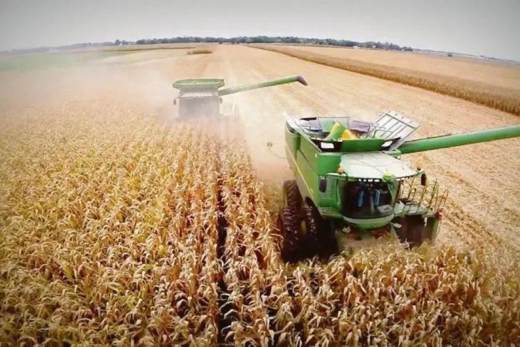 La actividad en cada sector- ganadores y perdedores del segundo antildeo de gestioacuten de Milei