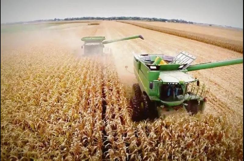 La actividad en cada sector- ganadores y perdedores del segundo antildeo de gestioacuten de Milei