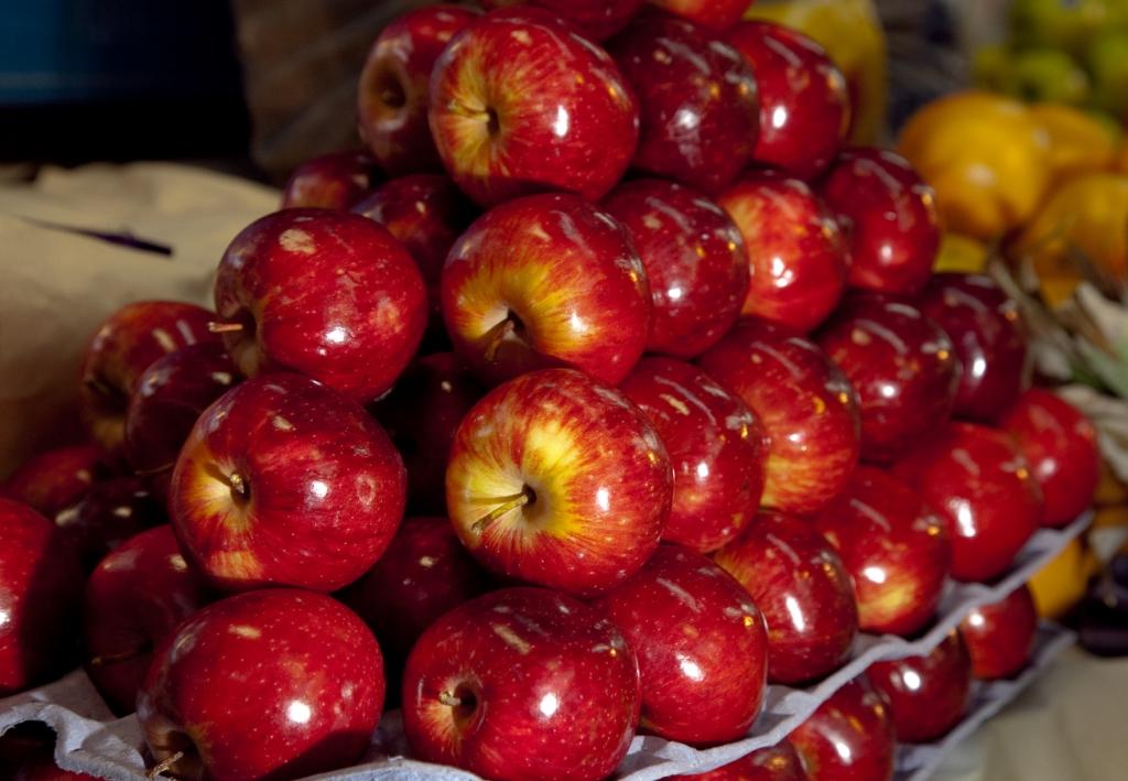 El Gobierno declara la emergencia agropecuaria en cuatro departamentos de Riacuteo Negro