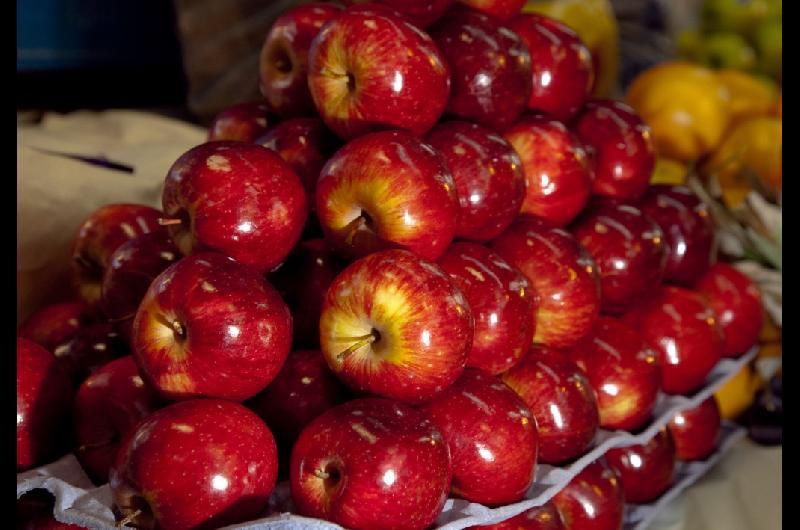 El Gobierno declara la emergencia agropecuaria en cuatro departamentos de Riacuteo Negro